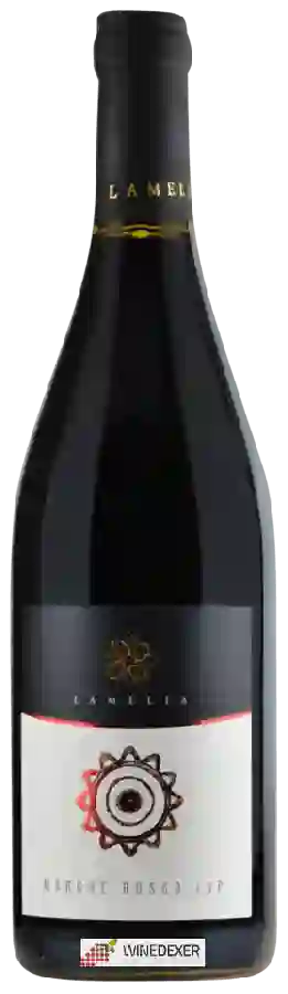 Winery Lamelia - Marche Rosso Winery Lamelia - Marche Rosso
