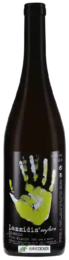 Winery Lammidia - Anfora Bianco