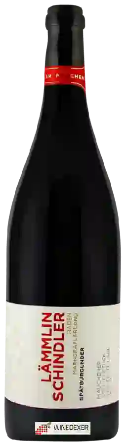 Winery Lämmlin Schindler - Spätburgunder Mauchener Sonnenstück VDP Erste Lage Trocken