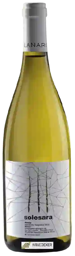 Winery Lanari - Solosara Bianco Winery Lanari - Solosara Bianco