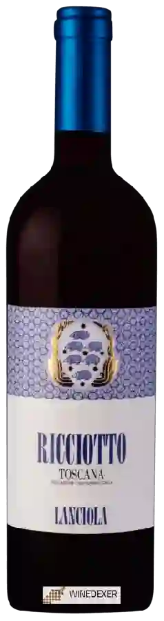 Winery Lanciola - Ricciotto Toscana