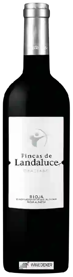 Winery Landaluce - Fincas de Landaluce Graciano