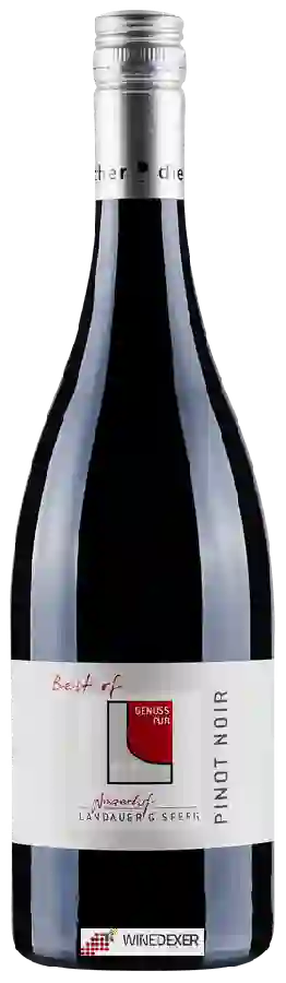 Winery Winzerhof Landauer-Gisperg - Pinot Noir Winery Winzerhof Landauer-Gisperg - Pinot Noir