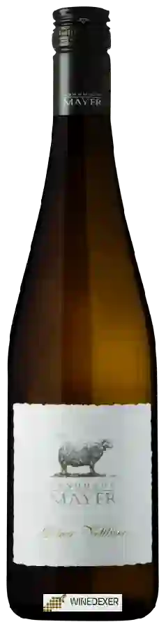 Winery Landhaus Mayer - Grüner Veltliner