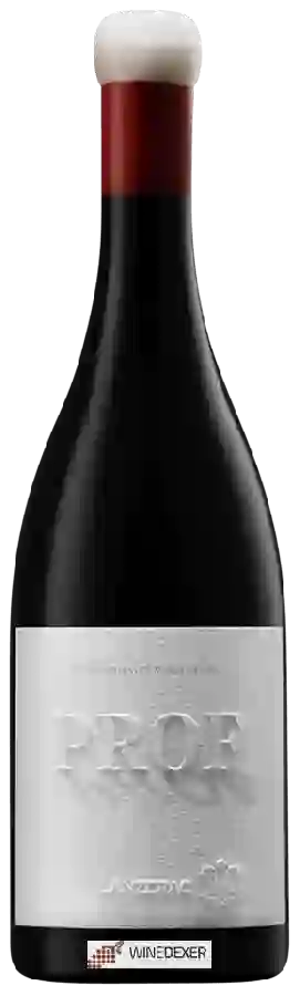 Winery Lanzerac - Prof