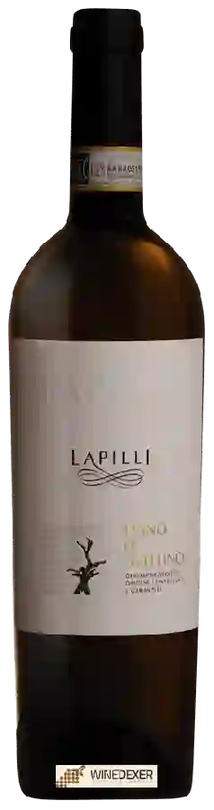 Winery Lapilli - Fiano di Avellino