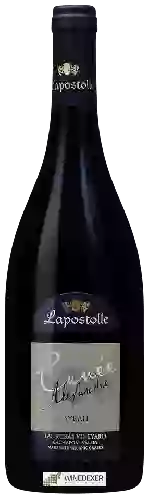 Winery Lapostolle - Cuvée Alexandre Syrah (Las Kuras Vineyard)