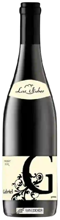 Winery Las Nubes - Las Nubes Gabriel Tinto Winery Las Nubes - Las Nubes Gabriel Tinto