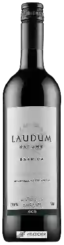 Winery Laudum - Barrica