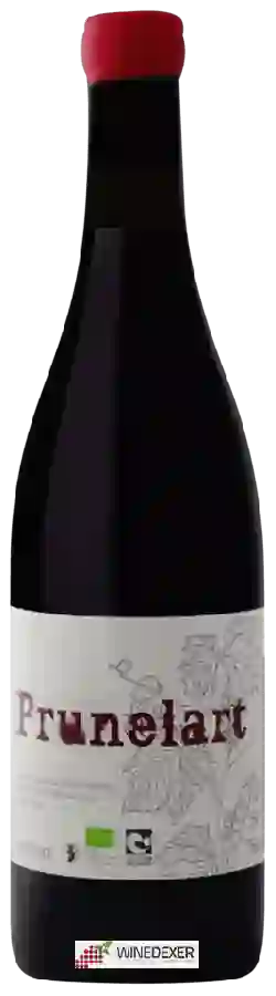 Winery Laurent Cazottes - Prunelart