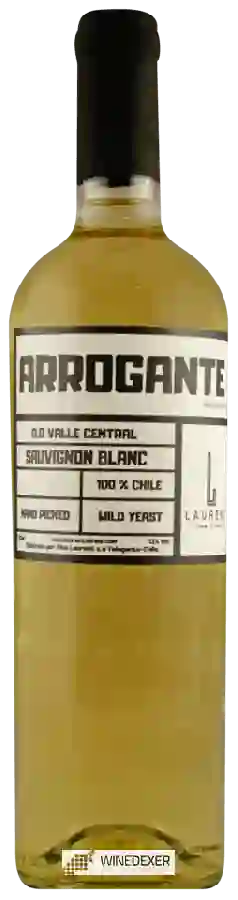 Winery Viña Laurent - Arrogante Sauvignon Blanc