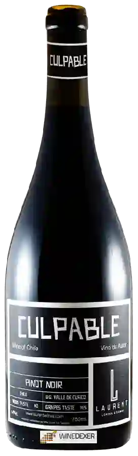 Winery Viña Laurent - Culpable Pinot Noir