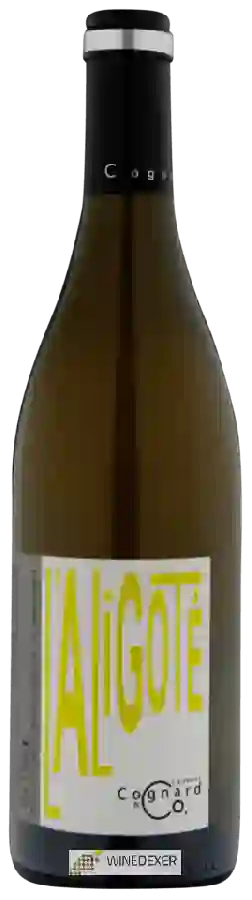 Domaine Laurent Cognard - Bourgogne Aligoté Domaine Laurent Cognard - Bourgogne Aligoté