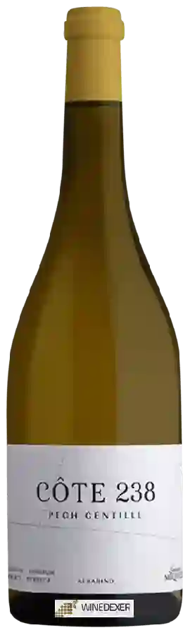 Winery Laurent Miquel - La Côte 238 Pech Gentille Albarino