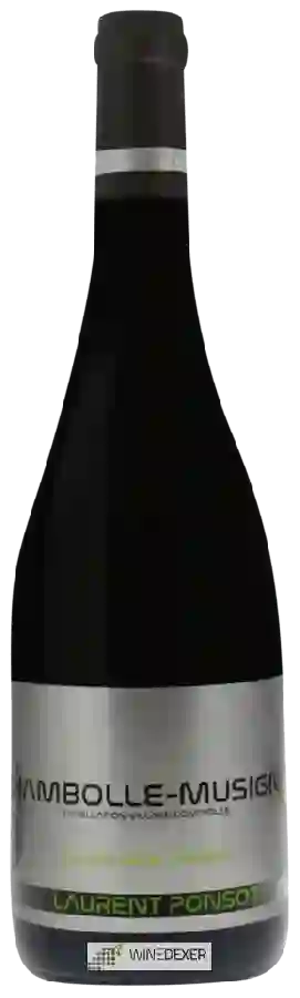Winery Laurent Ponsot - Cuvée de la Violette Chambolle-Musigny Winery Laurent Ponsot - Cuvée de la Violette Chambolle-Musigny