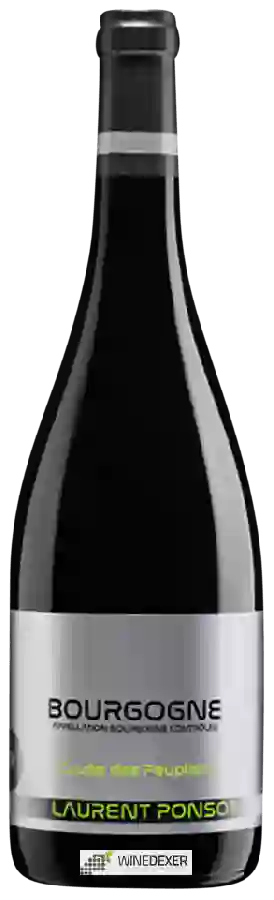 Winery Laurent Ponsot - Cuvée des Peupliers Bourgogne Winery Laurent Ponsot - Cuvée des Peupliers Bourgogne