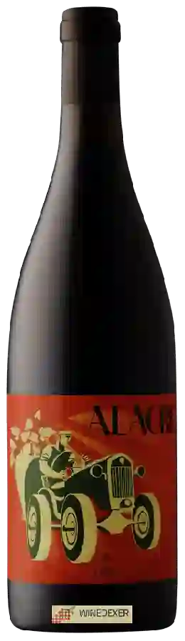 Winery Vino Lauria - Alacre Winery Vino Lauria - Alacre