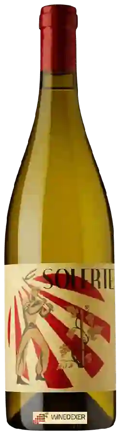 Winery Vino Lauria - Solerte