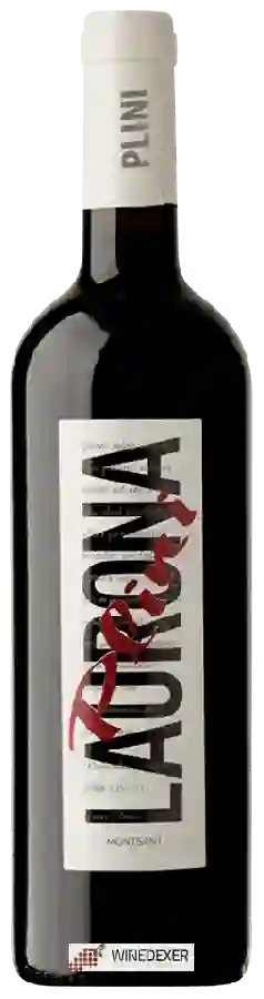 Winery Celler Laurona - Plini