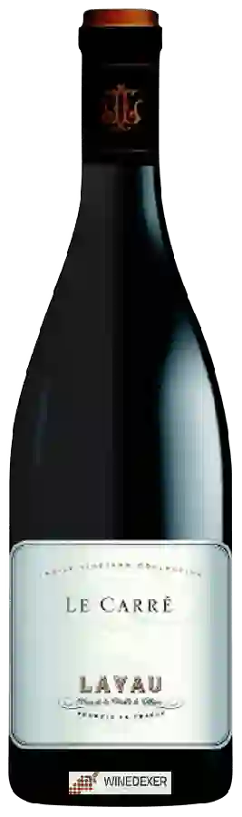 Winery Lavau - Le Carré