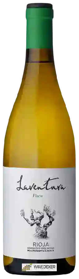 Winery Laventura - Viura Winery Laventura - Viura