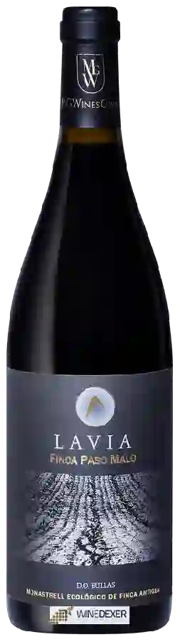 Winery Lavia - Finca Paso Malo Winery Lavia - Finca Paso Malo