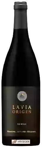 Winery Lavia - Origen