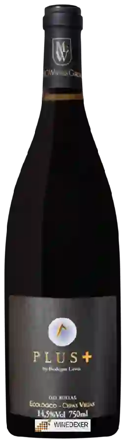 Winery Lavia - Plus+