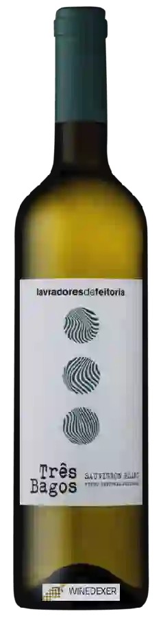 Winery Lavradores de Feitoria - Tr&ecircs Bagos Sauvignon