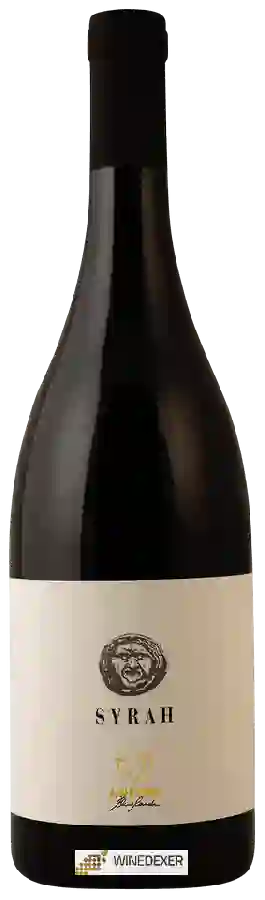 Winery Le Anfore - Syrah