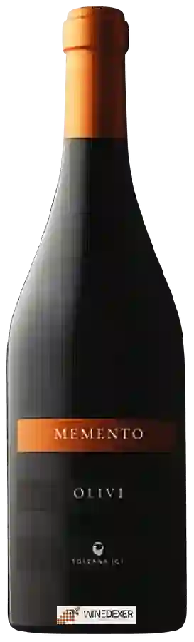Winery Olivi Le Buche - Memento Toscana Winery Olivi Le Buche - Memento Toscana