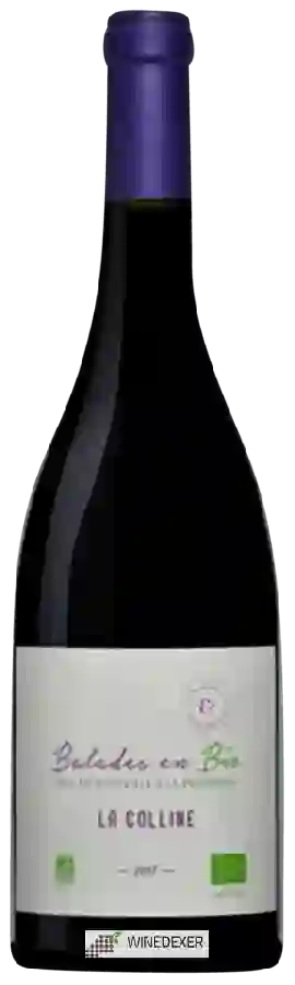 Winery Le Cellier du Pic - Balades en Bio La Colline