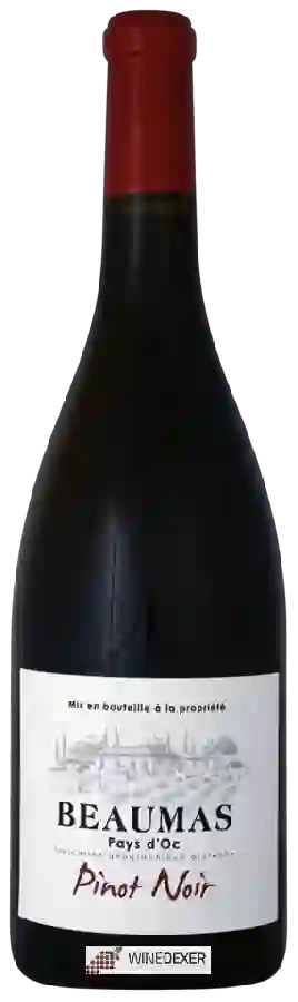 Winery Le Cellier du Pic - Beaumas Pinot Noir Winery Le Cellier du Pic - Beaumas Pinot Noir