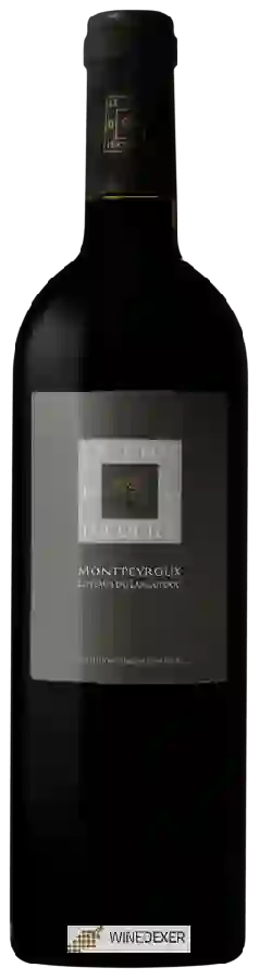 Winery Le Clos du Lucquier - Montpeyroux Winery Le Clos du Lucquier - Montpeyroux