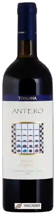 Winery Le Grascete - Antero Bolgheri Superiore Winery Le Grascete - Antero Bolgheri Superiore