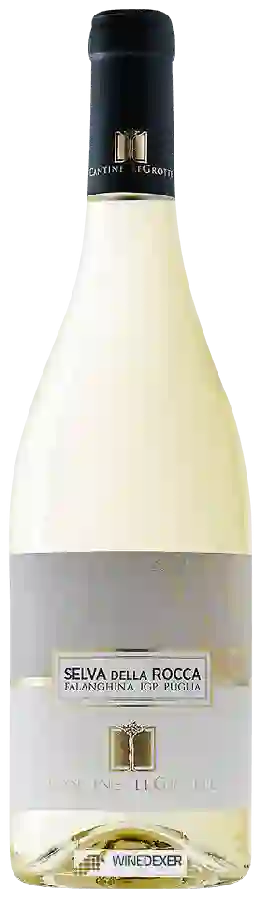 Winery Cantine LeGrotte - Selva della Rocca Falanghina Winery Cantine LeGrotte - Selva della Rocca Falanghina