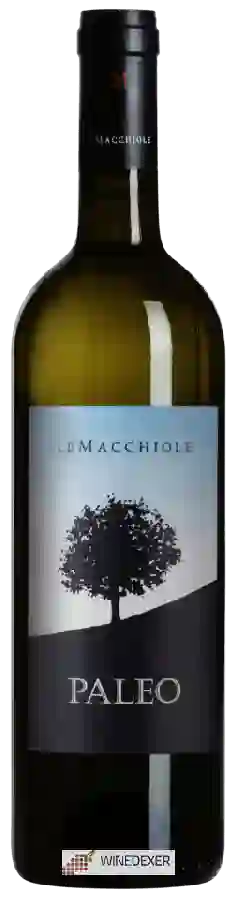 Winery Le Macchiole - Paleo Bianco