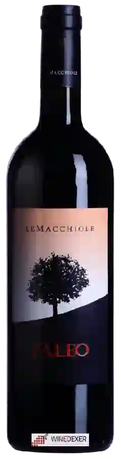Winery Le Macchiole - Paleo