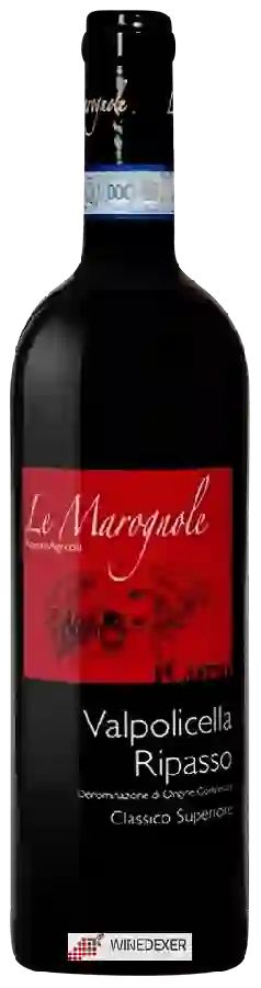 Winery Le Marognole - Valpolicella Ripasso Classico Superiore