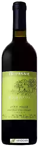 Winery Le Piane - Maggiorina