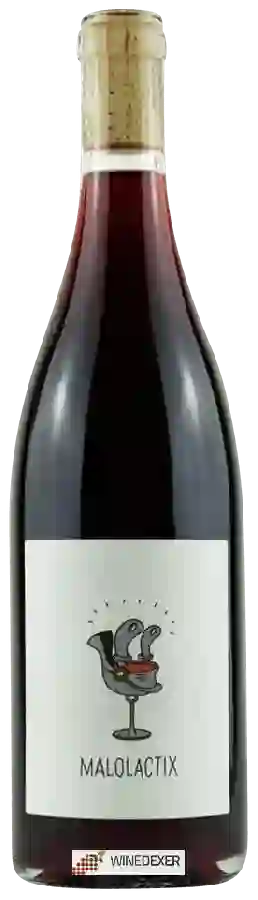 Winery Le Sot de l'Ange - Malolactix Winery Le Sot de l'Ange - Malolactix