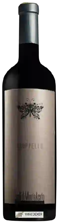 Winery Leali di Monteacuto - Groppello Winery Leali di Monteacuto - Groppello