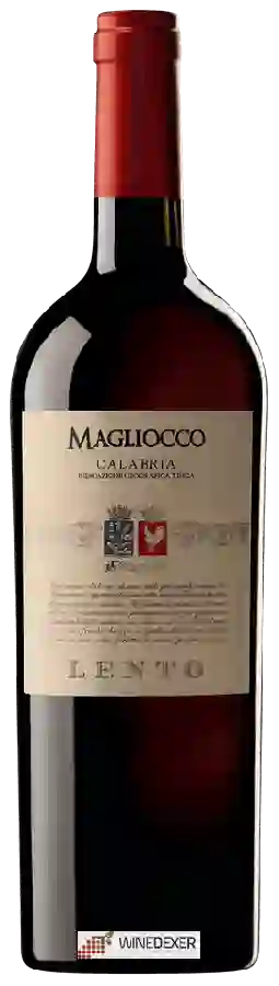 Winery Lento - Magliocco