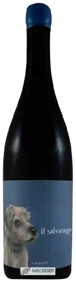 Winery Lenzini - Il Salvataggio