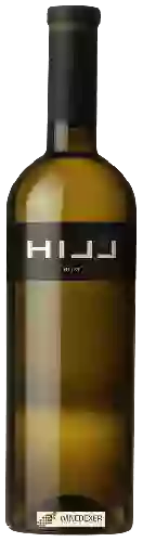 Winery Leo Hillinger - Hill 2