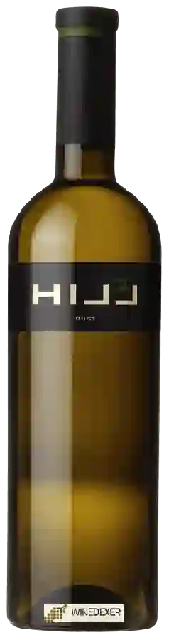 Winery Leo Hillinger - Hill 2 Winery Leo Hillinger - Hill 2