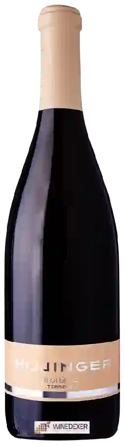 Winery Leo Hillinger - Terroir Pinot Blanc