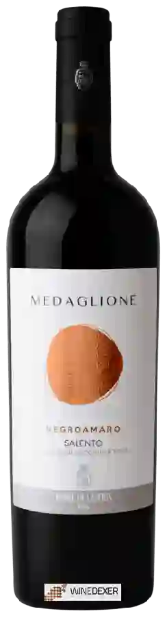 Winery Leone de Castris - Il Medaglione Negroamaro Salento