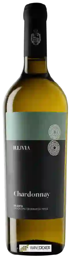 Winery Leone de Castris - Illivia Chardonnay