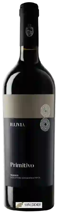 Winery Leone de Castris - Illivia Primitivo Rosé